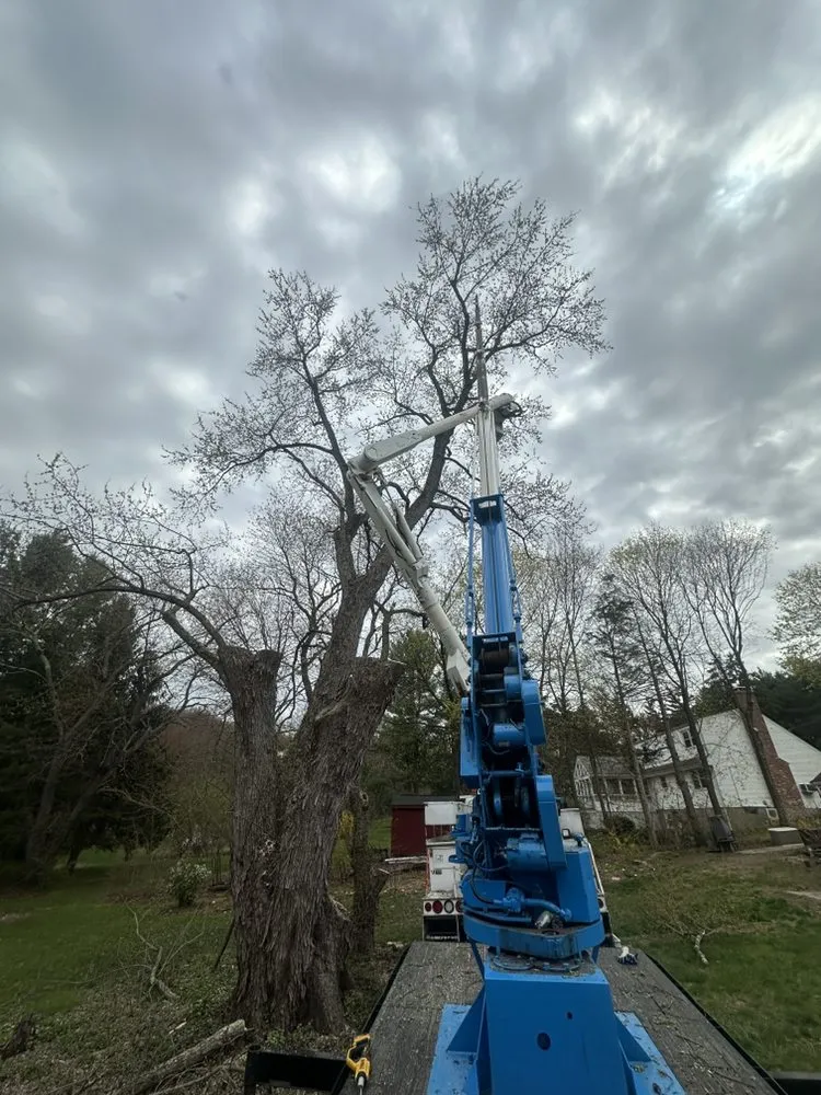 Top-rated landscape installation with custom design across Berlin, CT - Luca & Sons Landscaping