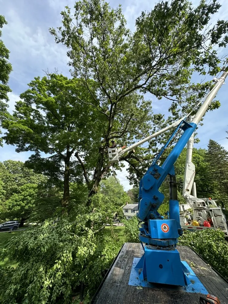 Professional landscape design in Berlin, CT by Luca & Sons Landscaping