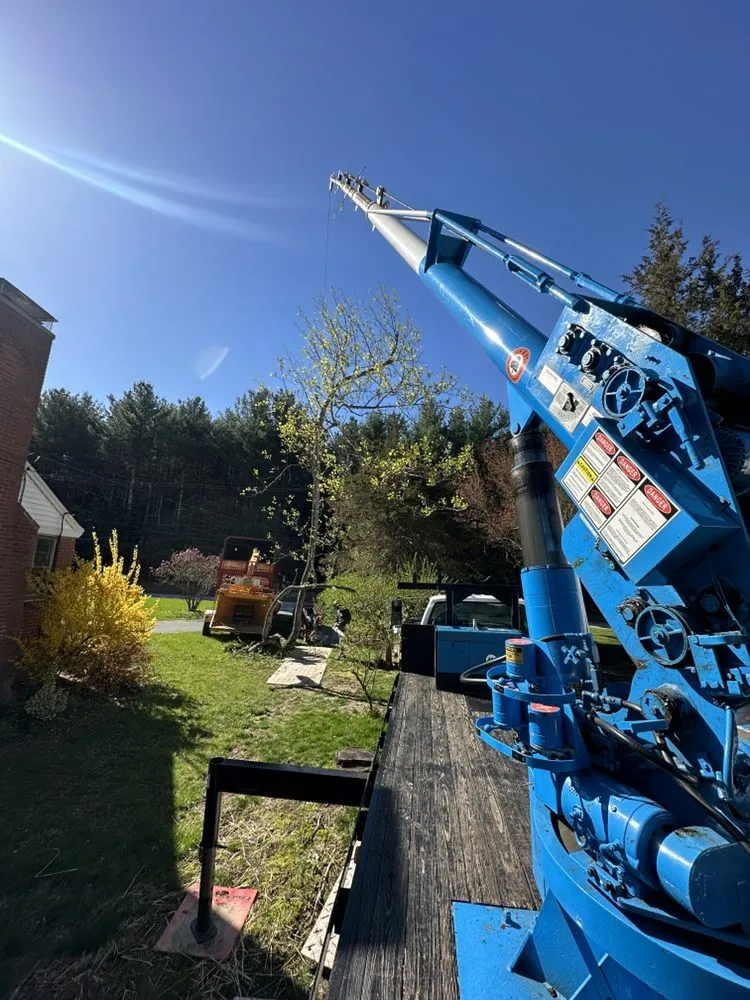 Professional outdoor landscaping in Berlin, CT by Luca & Sons Landscaping