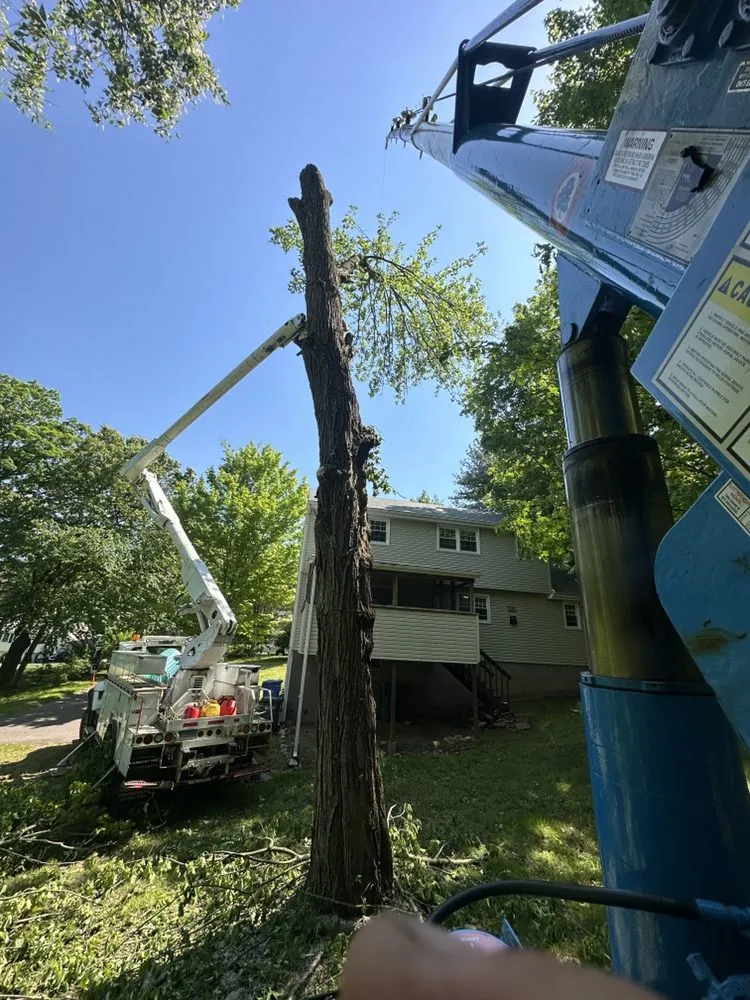 Professional residential landscaping for year-round maintenance in Berlin, CT by Luca & Sons Landscaping