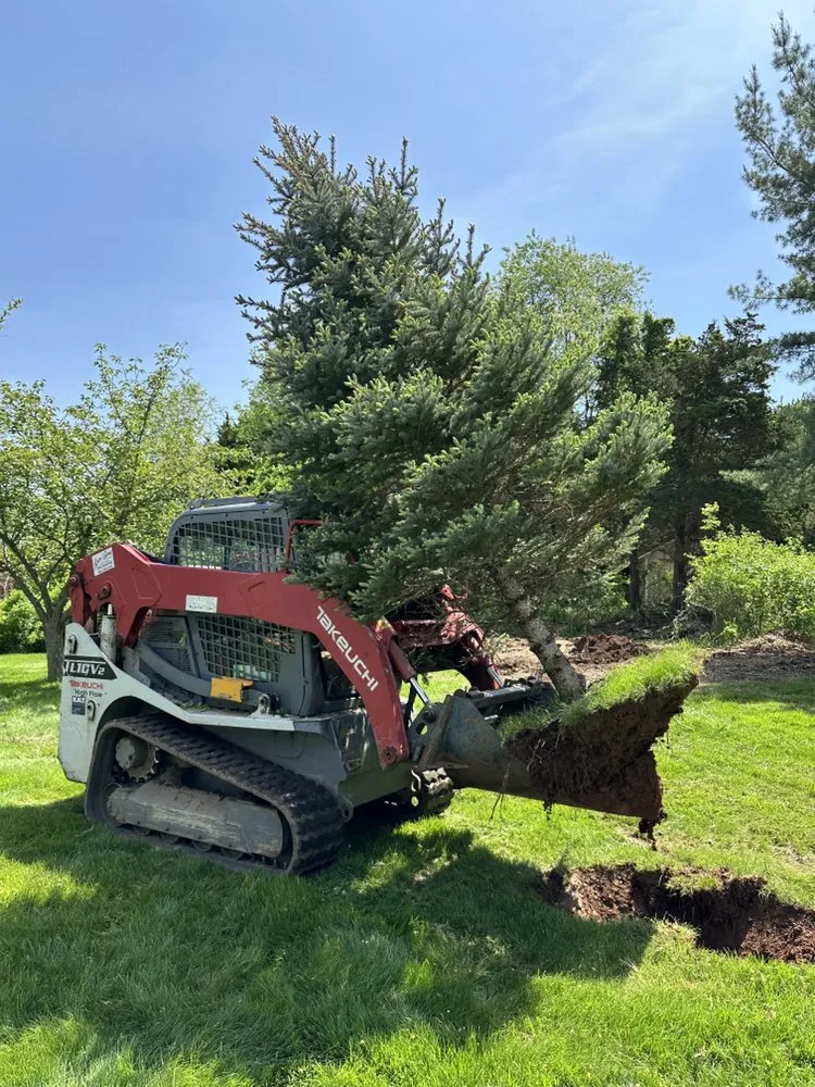 Affordable landscaping services for outdoor upgrades in Berlin, CT by Luca & Sons Landscaping