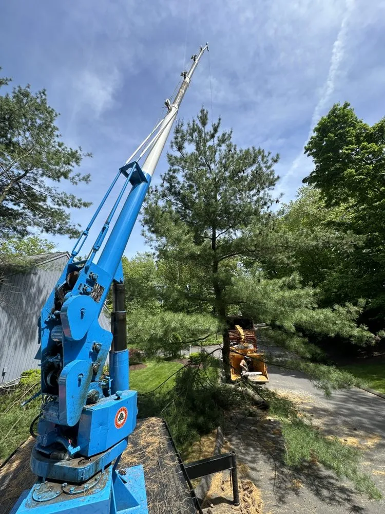 Custom yard maintenance with custom design in Berlin, CT by Luca & Sons Landscaping