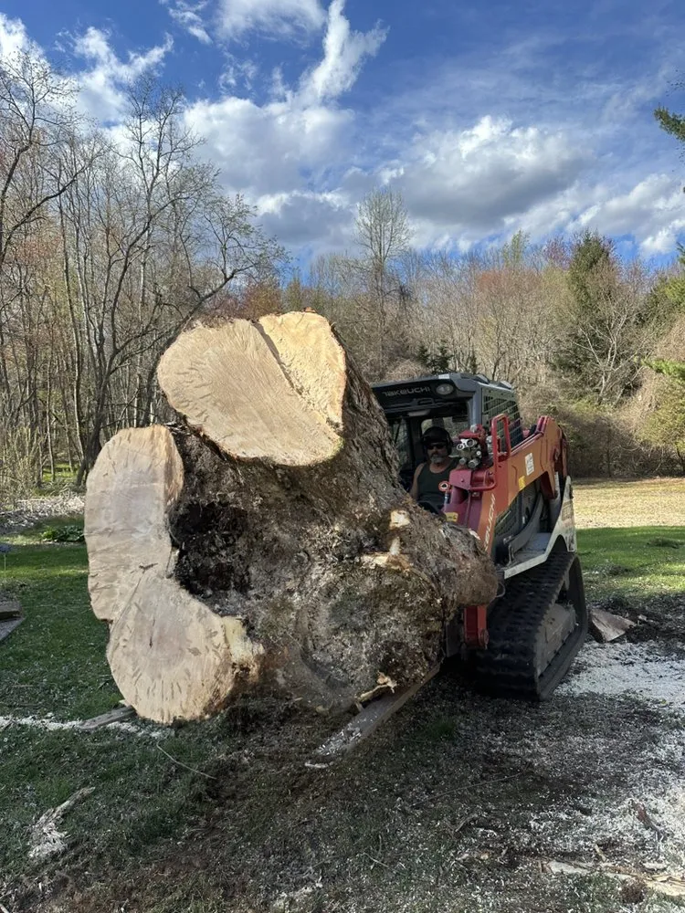 Reliable landscaping services in Berlin, CT - Luca & Sons Landscaping