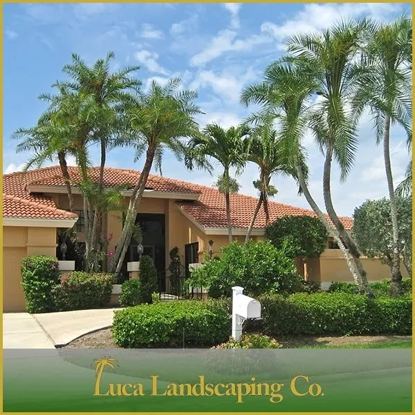 Affordable yard cleanup service in Davie, FL - Luca Landscaping