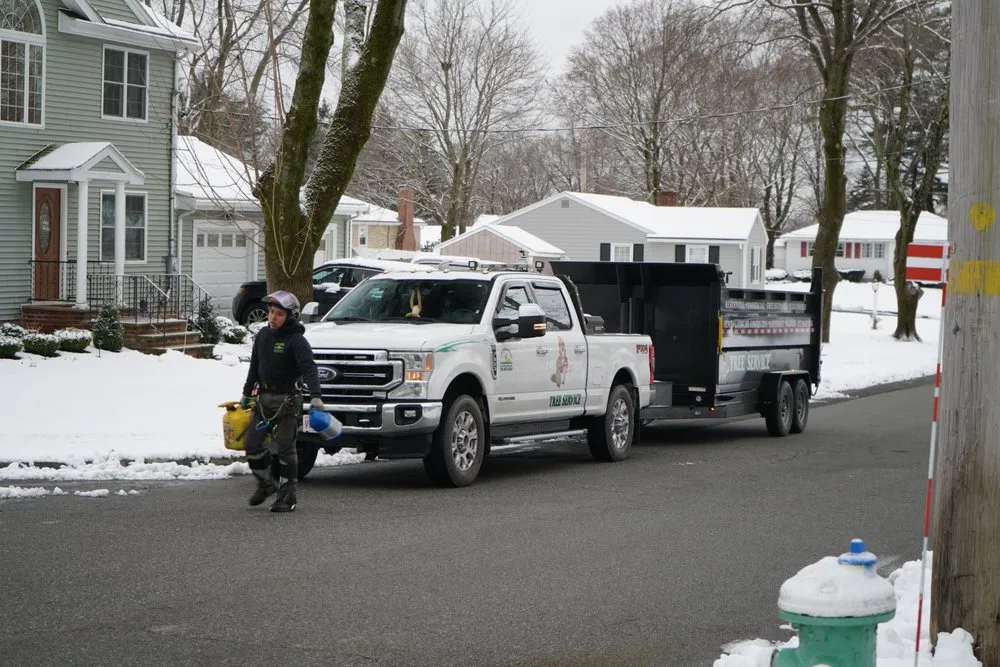 Trusted landscape design experts serving Peabody, MA - Luca Tree Service