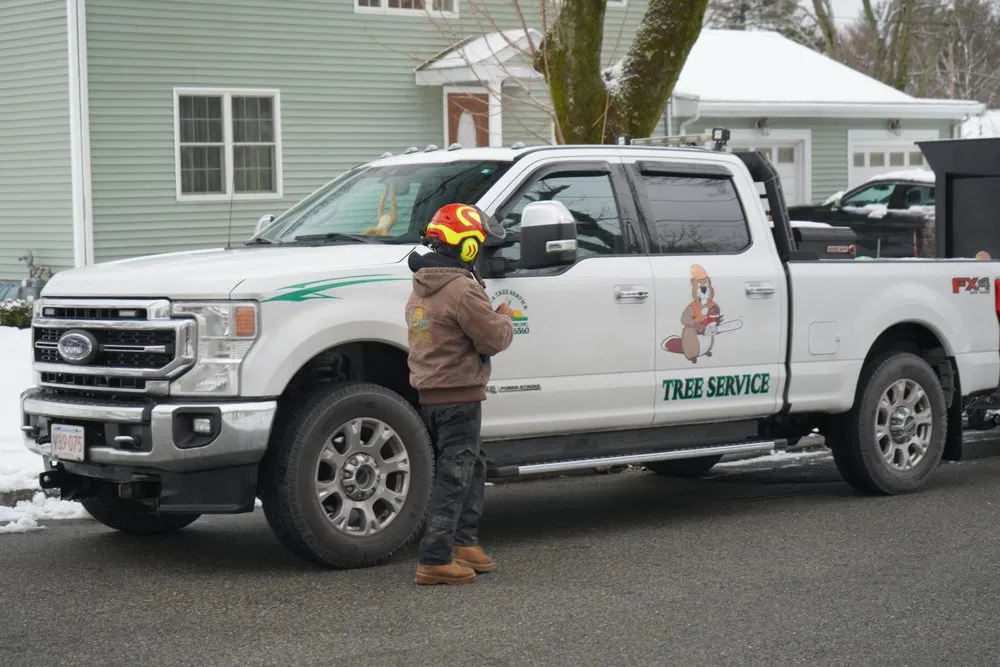 Trusted yard maintenance in Peabody, MA by Luca Tree Service