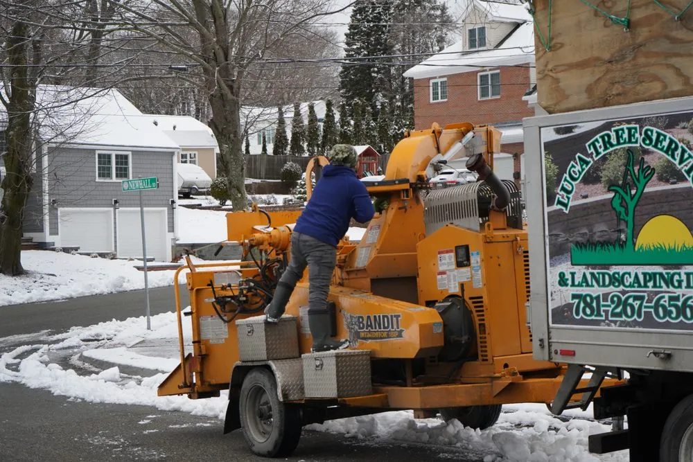 Professional lawn care service in Peabody, MA by Luca Tree Service