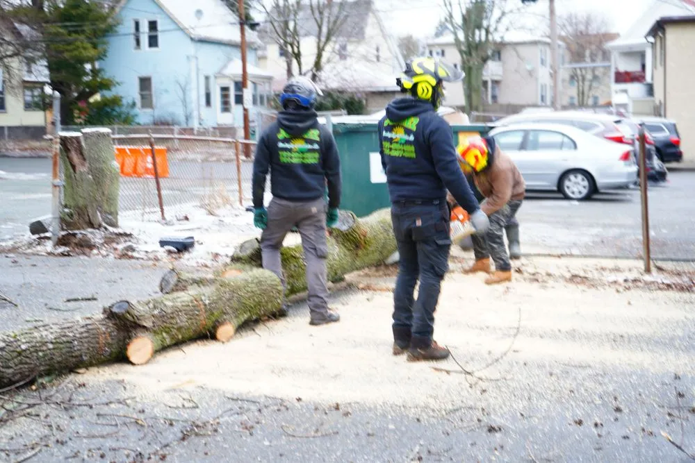 Trusted yard maintenance in Peabody, MA by Luca Tree Service