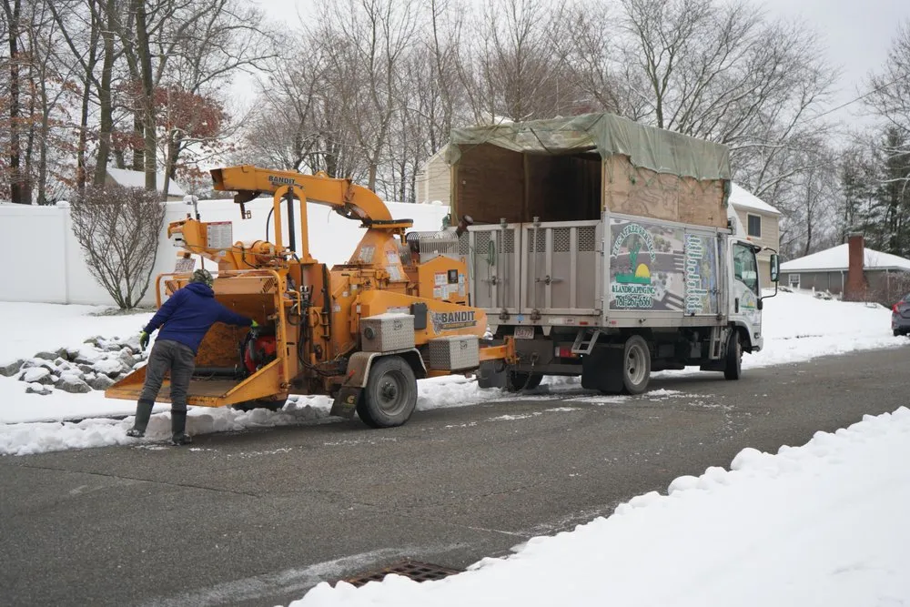 Professional residential landscaping for year-round maintenance across Peabody, MA - Luca Tree Service