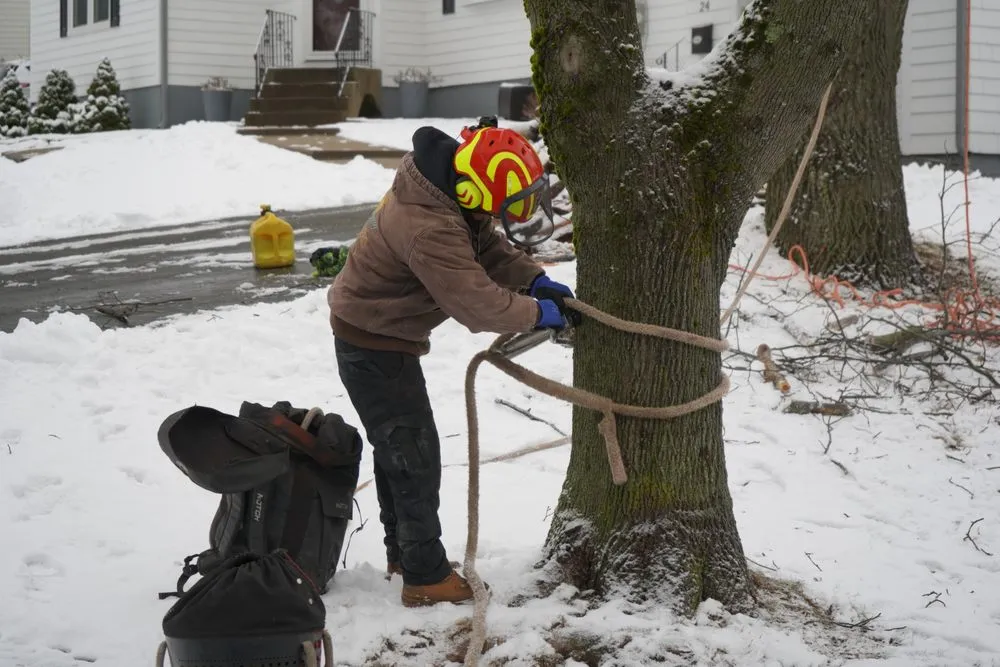 Local landscape design in Peabody, MA by Luca Tree Service