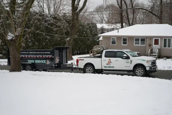 Luca Tree Service Logo