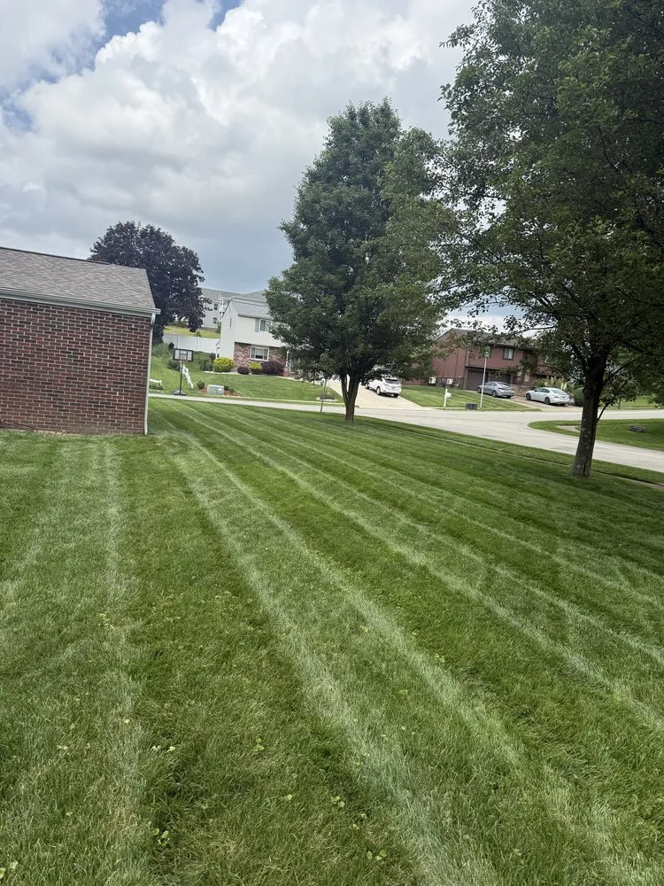 Reliable residential landscaping in Pittsburgh, PA - Luca V's