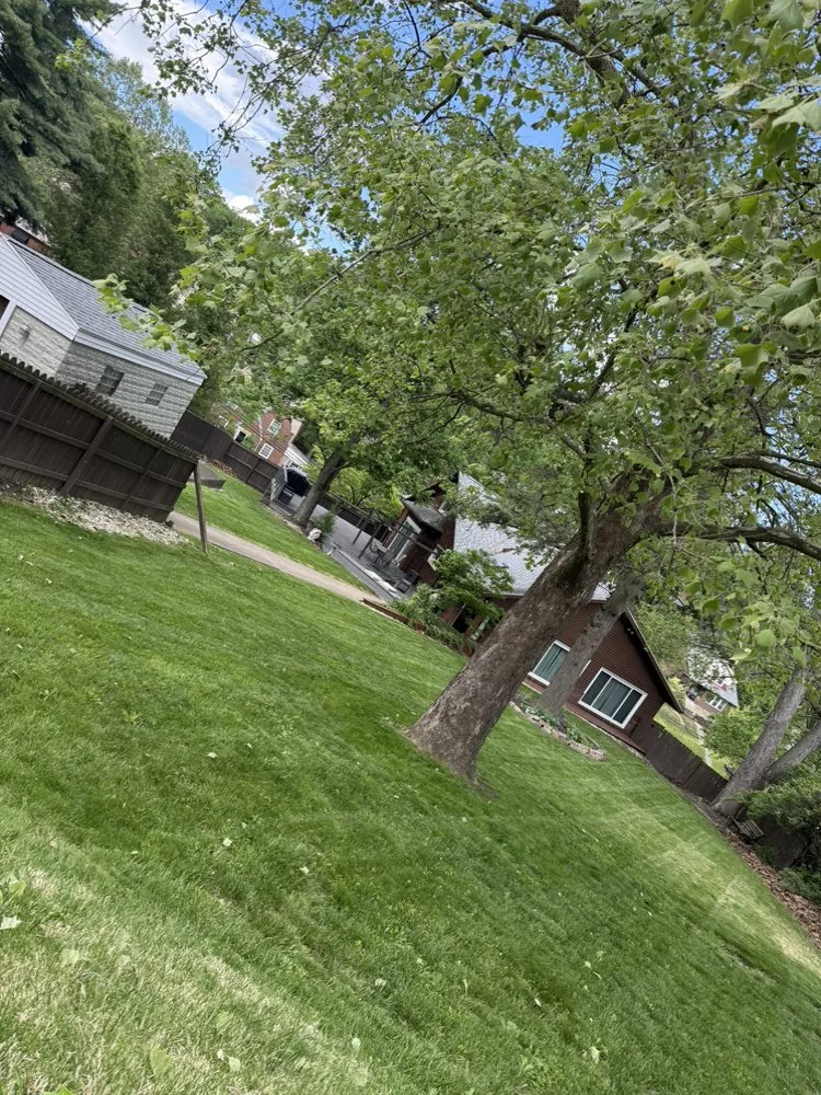 Professional landscaping services in Pittsburgh, PA - Luca V's