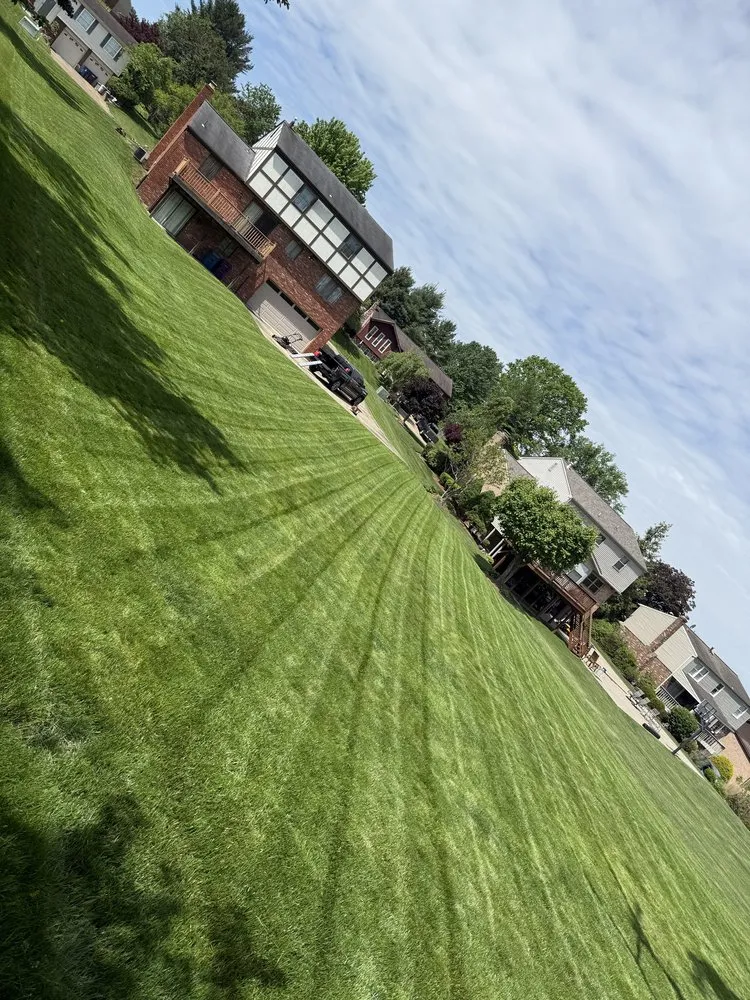 Professional garden landscaping with custom design in Pittsburgh, PA by Luca V's