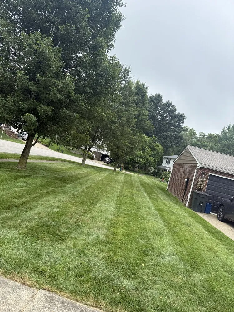 Local landscape design for beautiful yards in Pittsburgh, PA by Luca V's