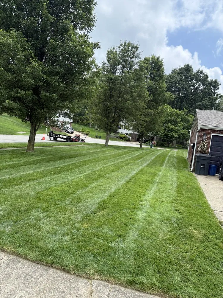 Top-rated landscape installation experts serving Pittsburgh, PA - Luca V's