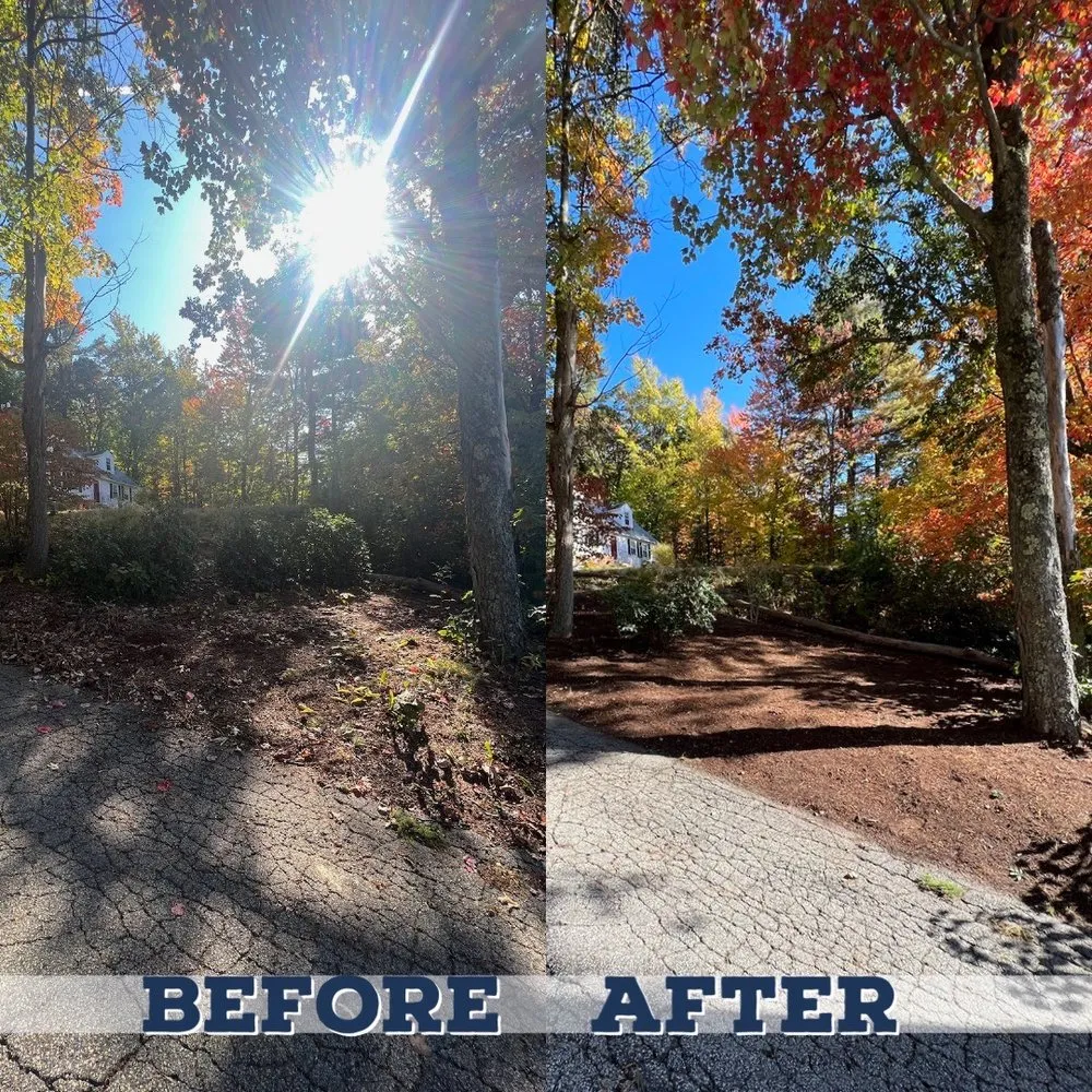 Trusted lawn care service for outdoor upgrades across Milford, NH - Lucabon