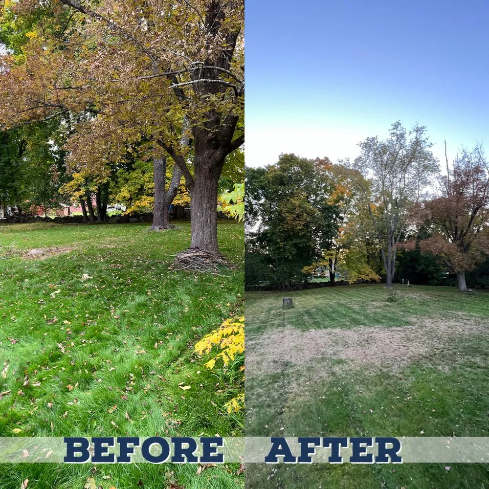 Top-rated outdoor landscaping for beautiful yards across Milford, NH - Lucabon