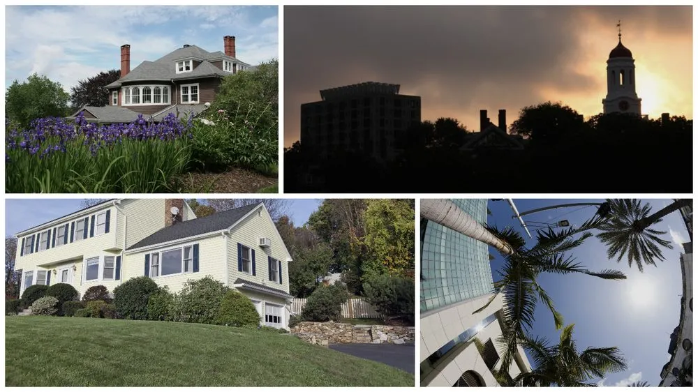 Trusted yard cleanup service in Bayonne, NJ by Lucal Construction