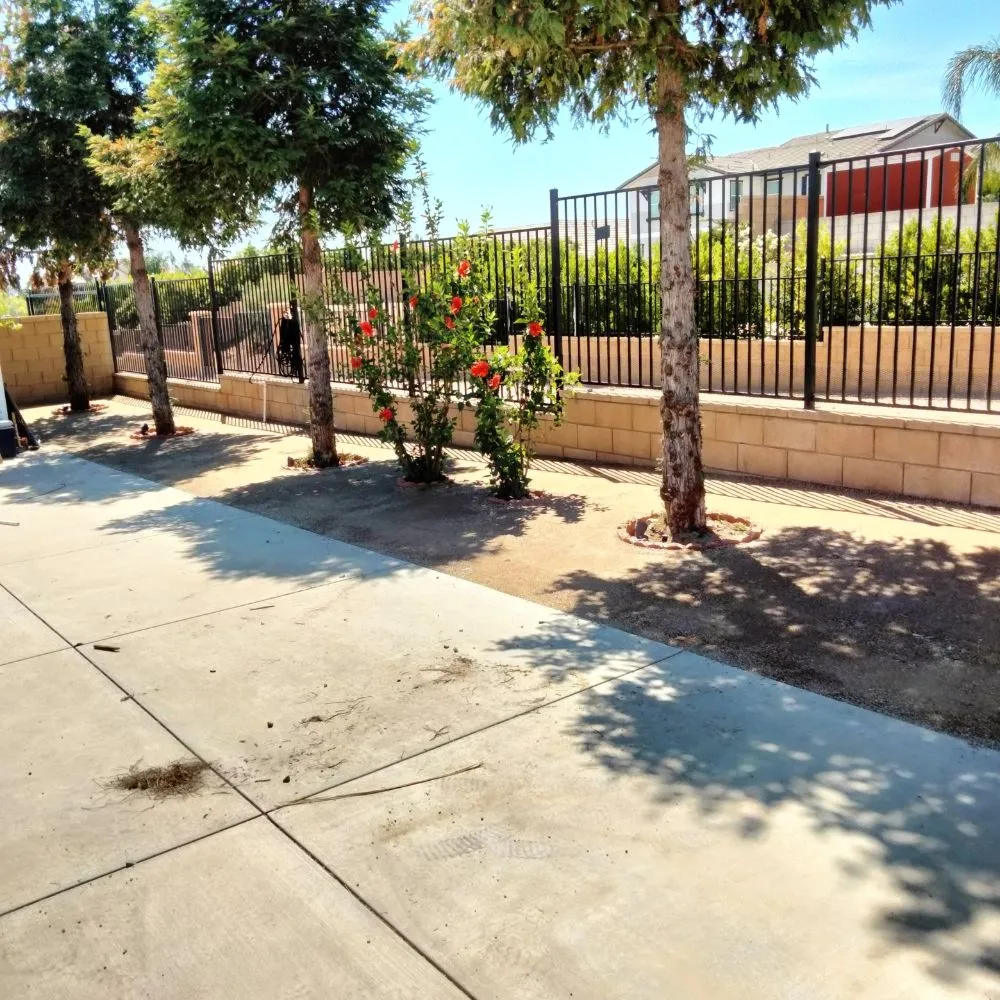 Custom garden landscaping in Riverside, CA by Lucas Concrete and Landscaping