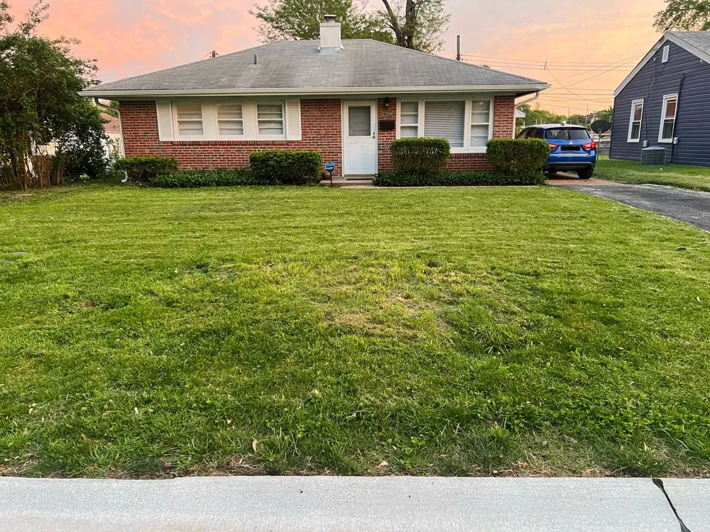 Expert landscaping services for residential properties across Saint Ann, MO - Lucas Cultivation