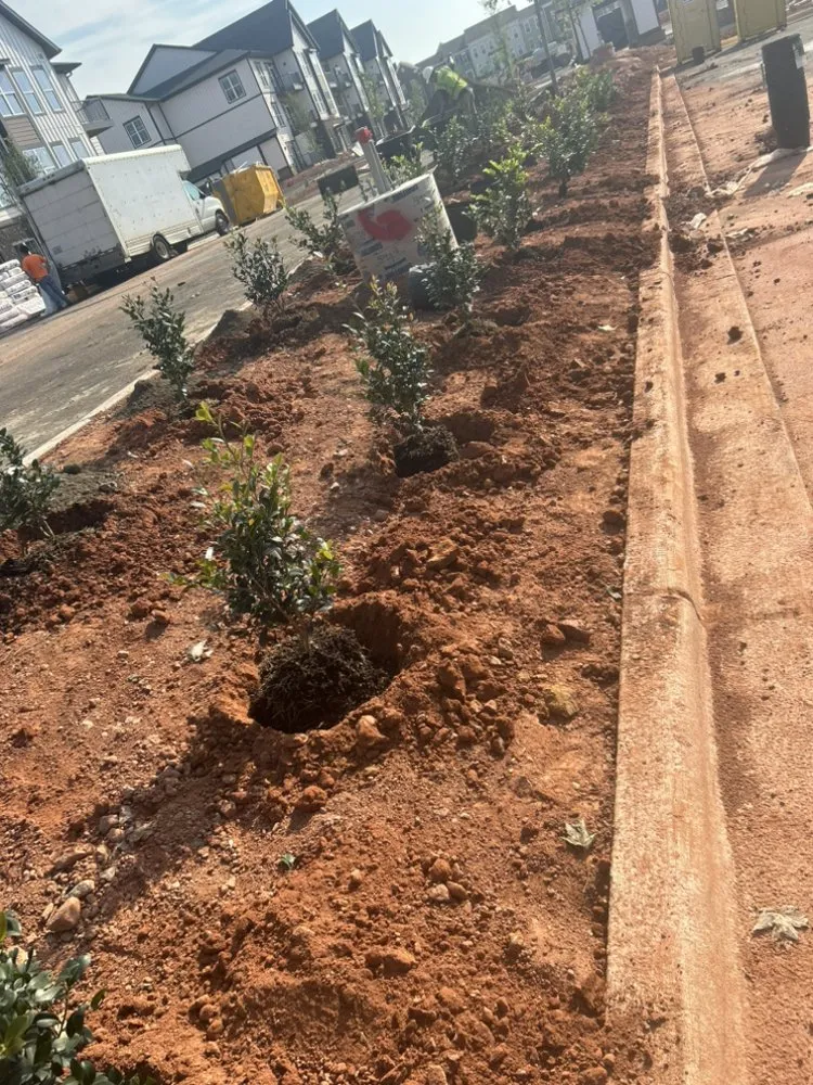 Affordable garden landscaping for year-round maintenance in Raleigh, NC by Lucas Knows Lawncare