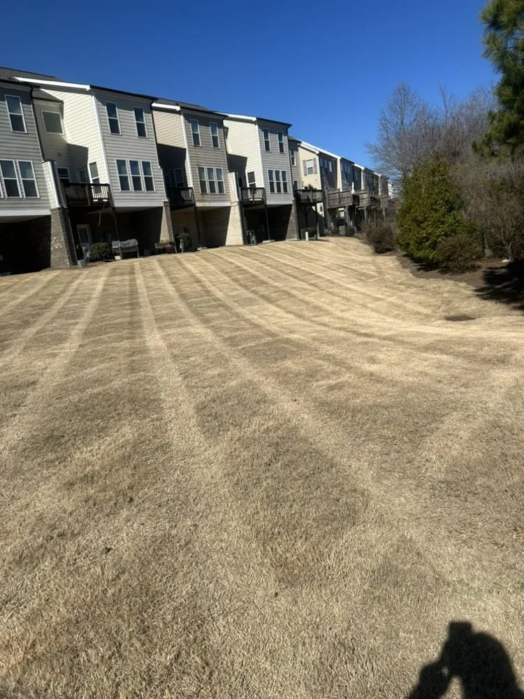 Professional outdoor landscaping in Raleigh, NC by Lucas Knows Lawncare