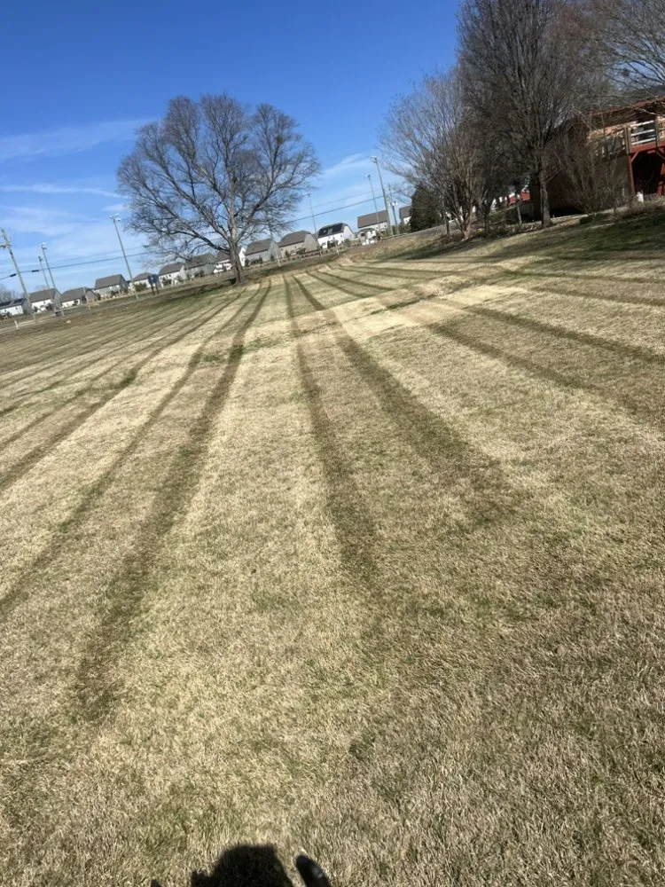 Expert lawn care service for outdoor upgrades in Raleigh, NC by Lucas Knows Lawncare