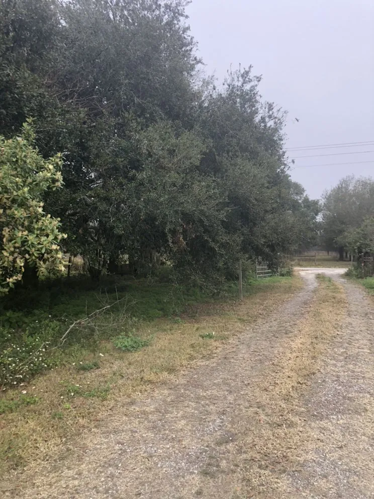 Affordable garden landscaping in Fort Meade, FL - Lucas Land Services