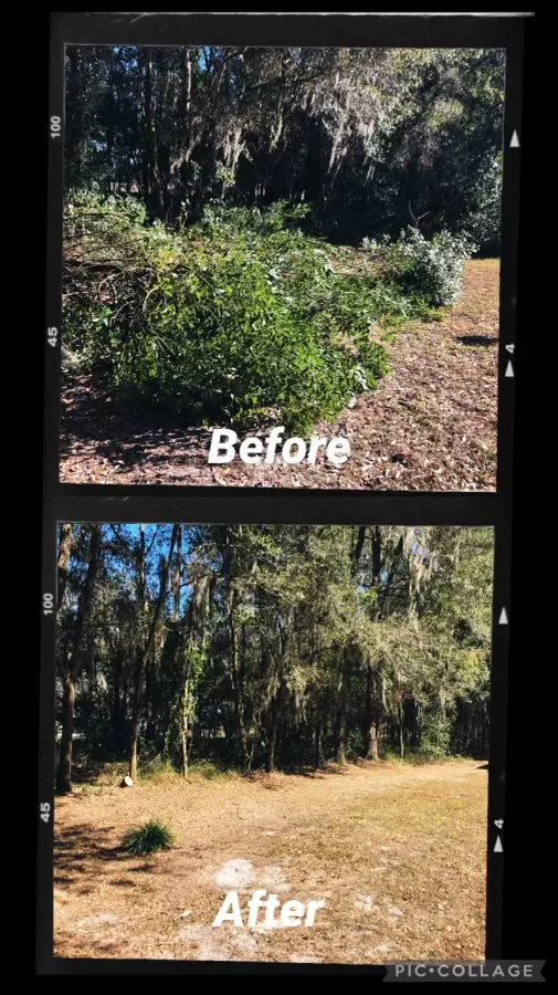 Affordable residential landscaping for outdoor upgrades across Fort Meade, FL - Lucas Land Services