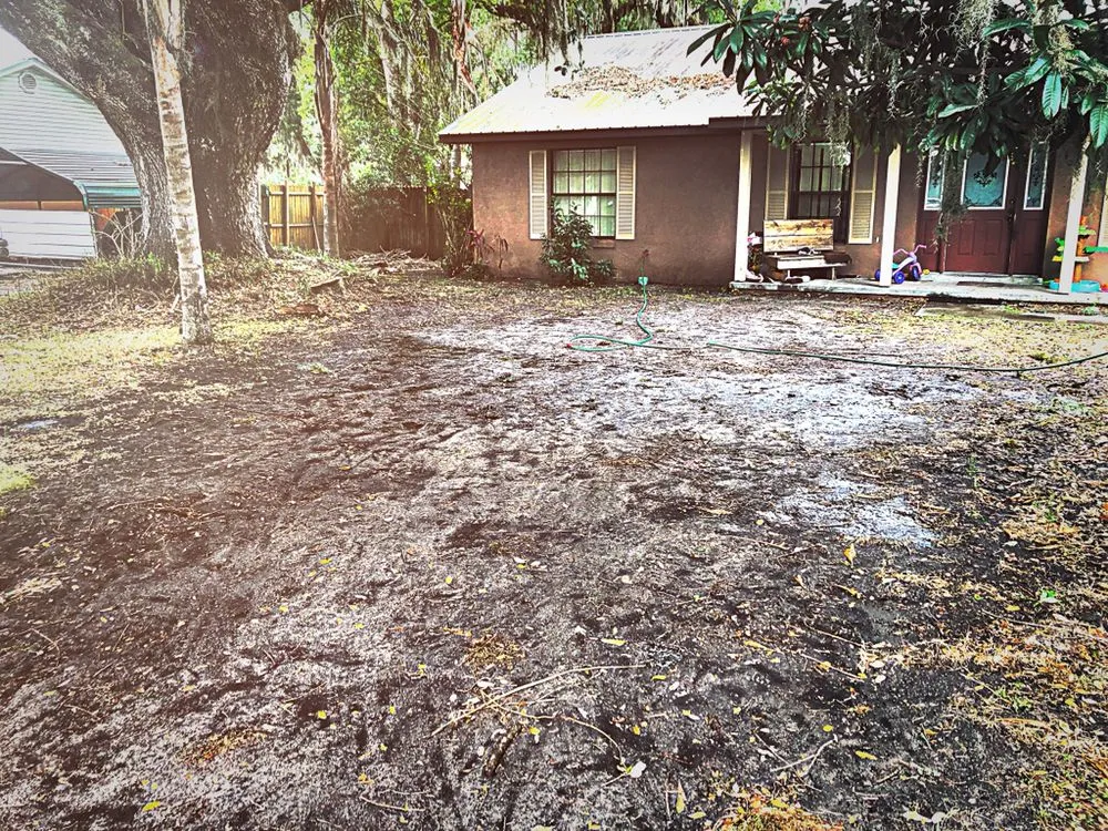 Affordable yard cleanup service in Fort Meade, FL by Lucas Land Services