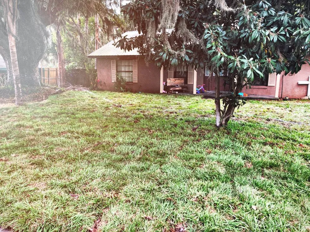 Professional yard cleanup service experts serving Fort Meade, FL - Lucas Land Services