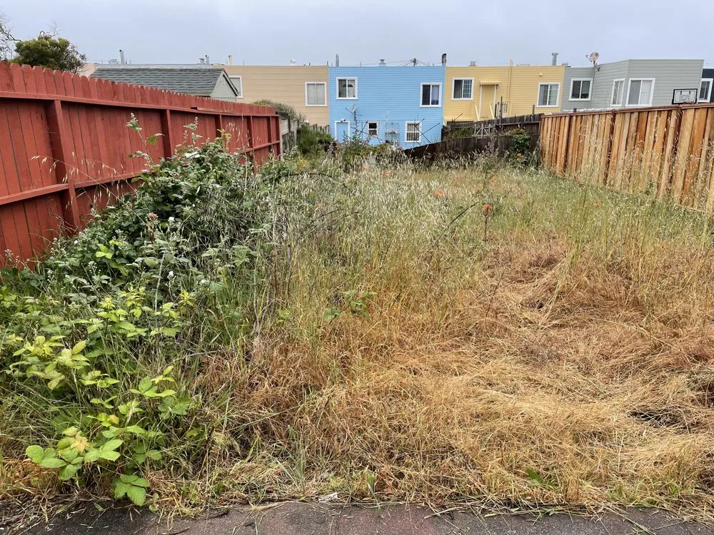 Custom outdoor landscaping for beautiful yards across Corte Madera, CA - Luca's Landscape