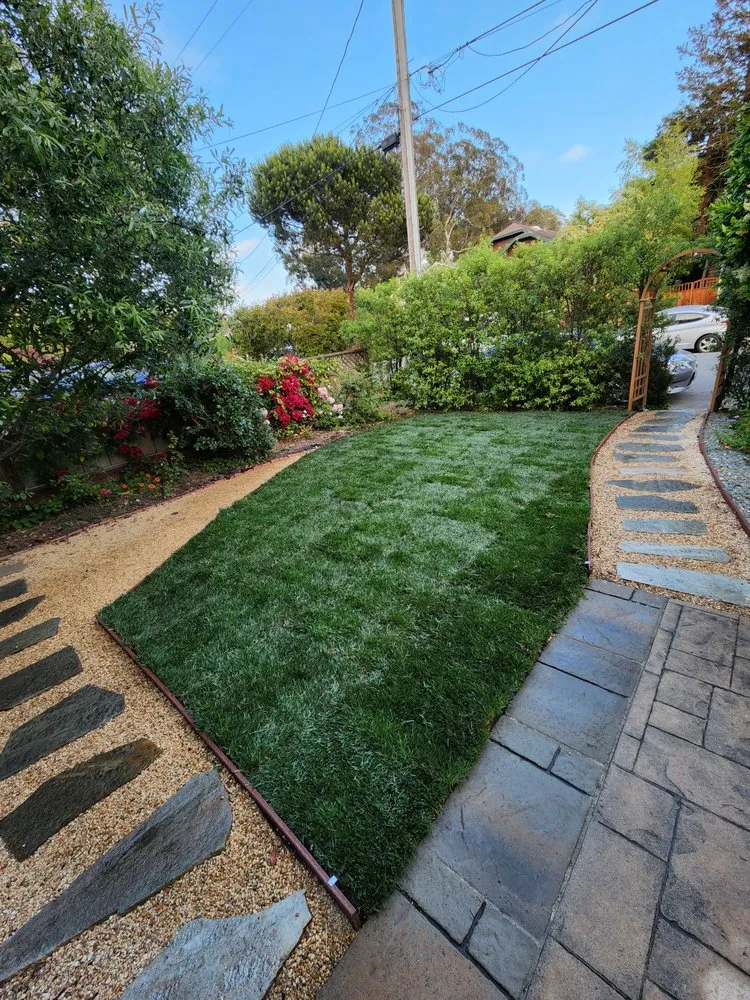Professional residential landscaping experts serving Corte Madera, CA - Luca's Landscape