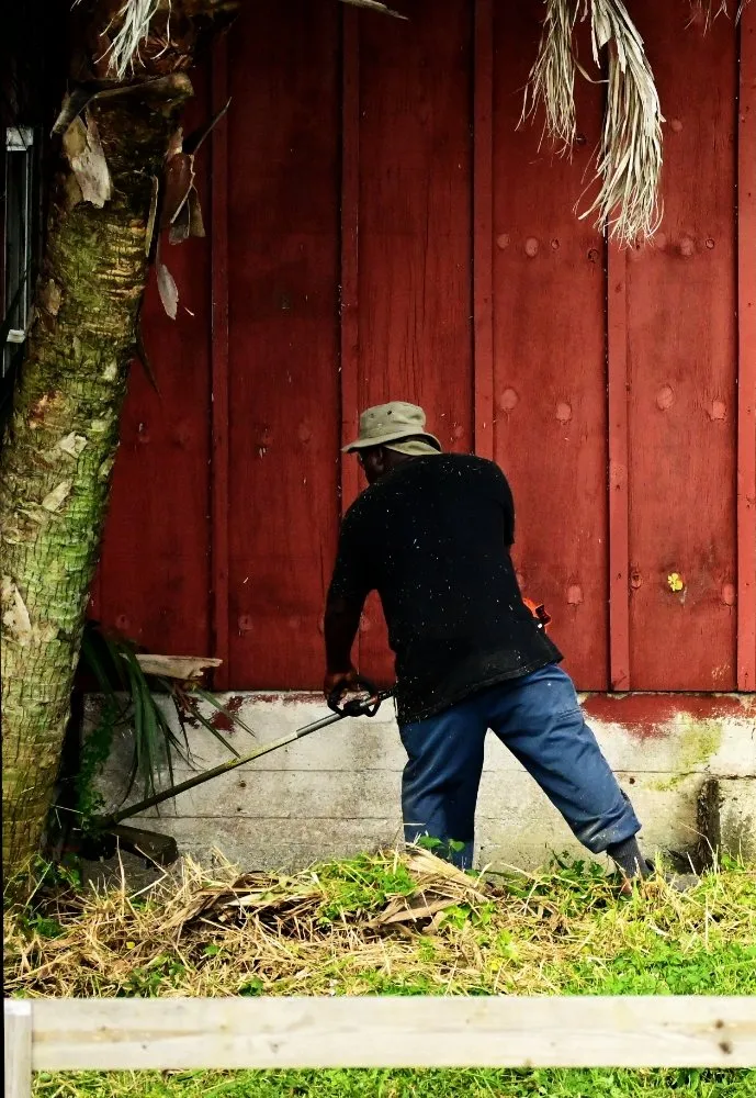 Professional lawn mowing service for homes across Corte Madera, CA - Luca's Landscape