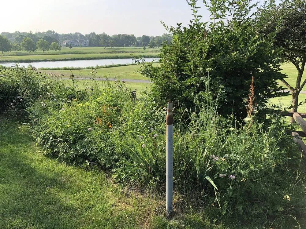 Affordable landscape installation experts serving Arlington Heights, IL - Lucas Landscape Design