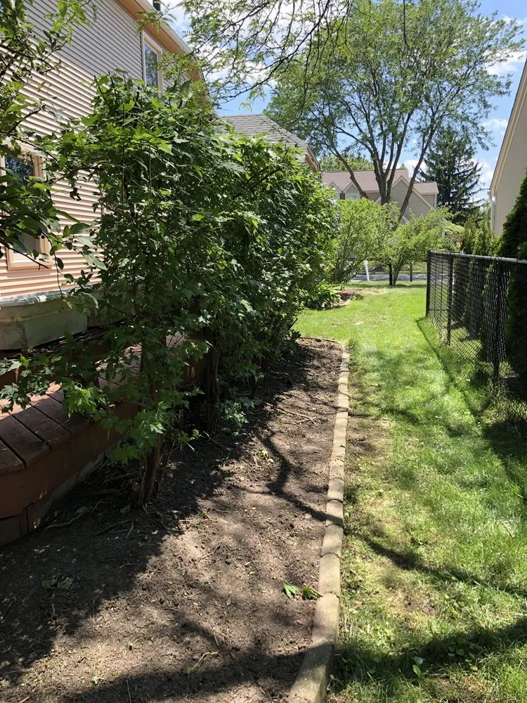 Expert garden landscaping in Arlington Heights, IL by Lucas Landscape Design