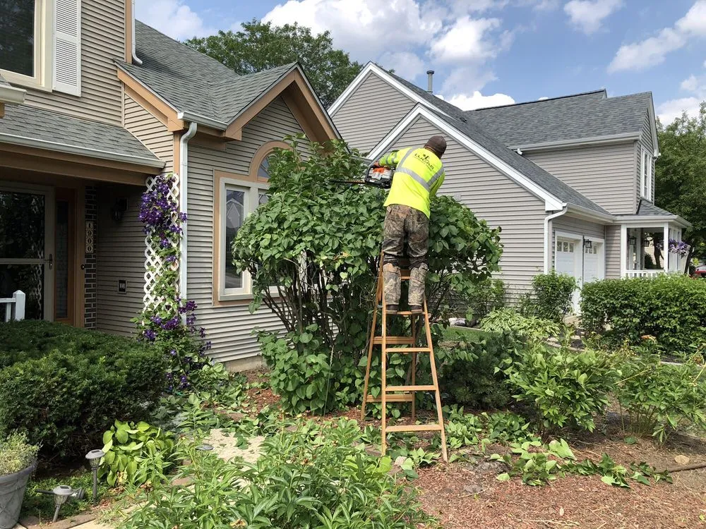 Local lawn mowing service experts serving Arlington Heights, IL - Lucas Landscape Design