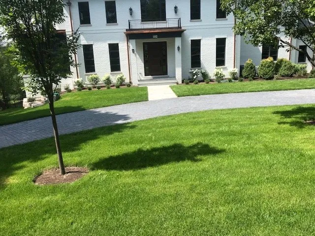 Local landscape design near you in Arlington Heights, IL by Lucas Landscape Design