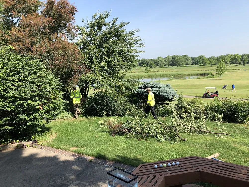 Reliable yard cleanup service experts serving Arlington Heights, IL - Lucas Landscape Design