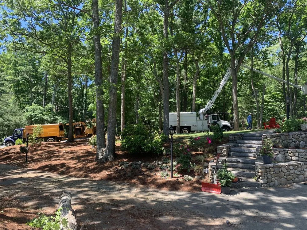 Top-rated landscaping services for year-round maintenance in Bridgewater, MA by Lucas Landscape &Tree
