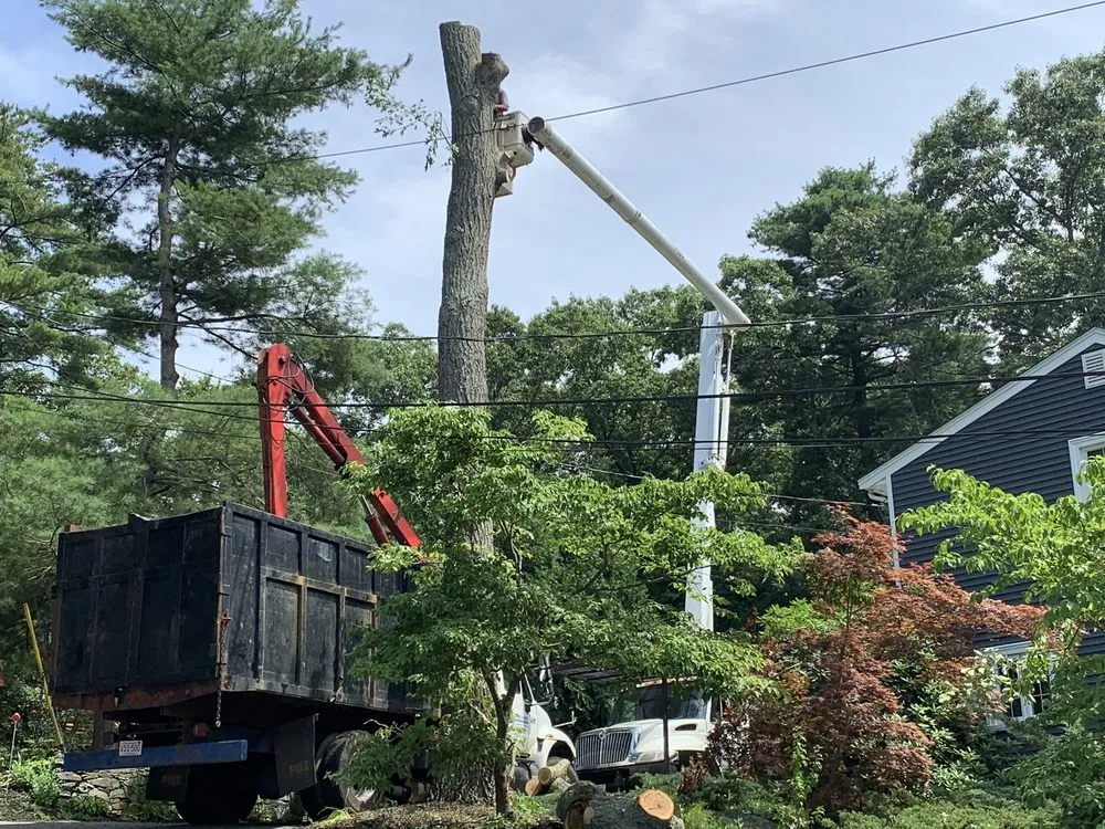 Top-rated landscaping services in Bridgewater, MA by Lucas Landscape &Tree