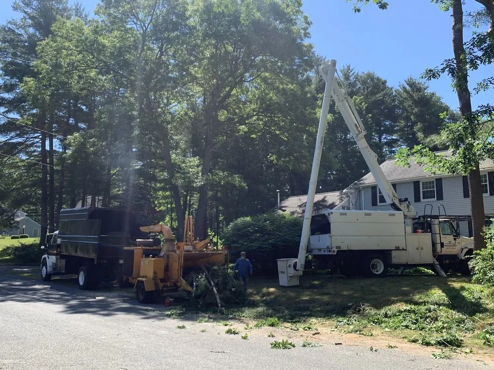 Affordable yard maintenance for outdoor upgrades in Bridgewater, MA by Lucas Landscape &Tree