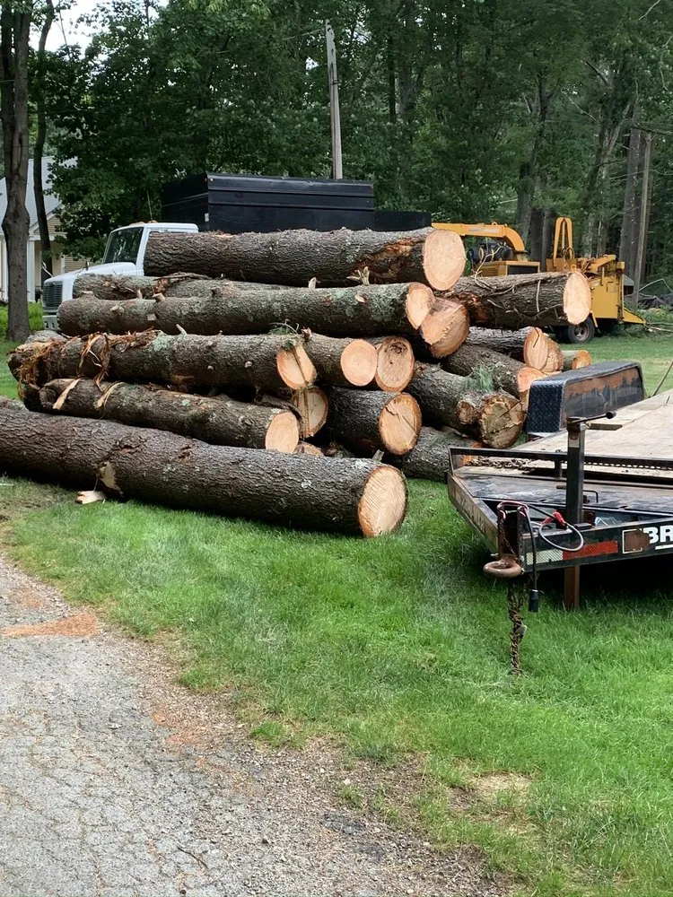 Expert landscape installation in Bridgewater, MA - Lucas Landscape &Tree