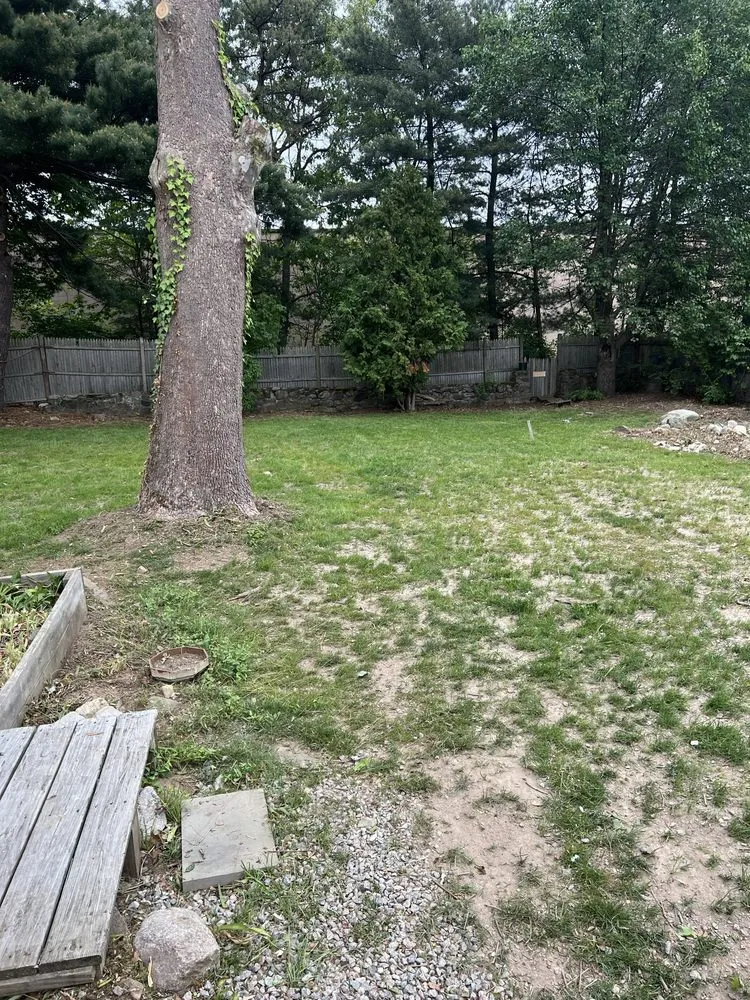 Trusted lawn mowing service experts serving Bridgewater, MA - Lucas Landscape &Tree