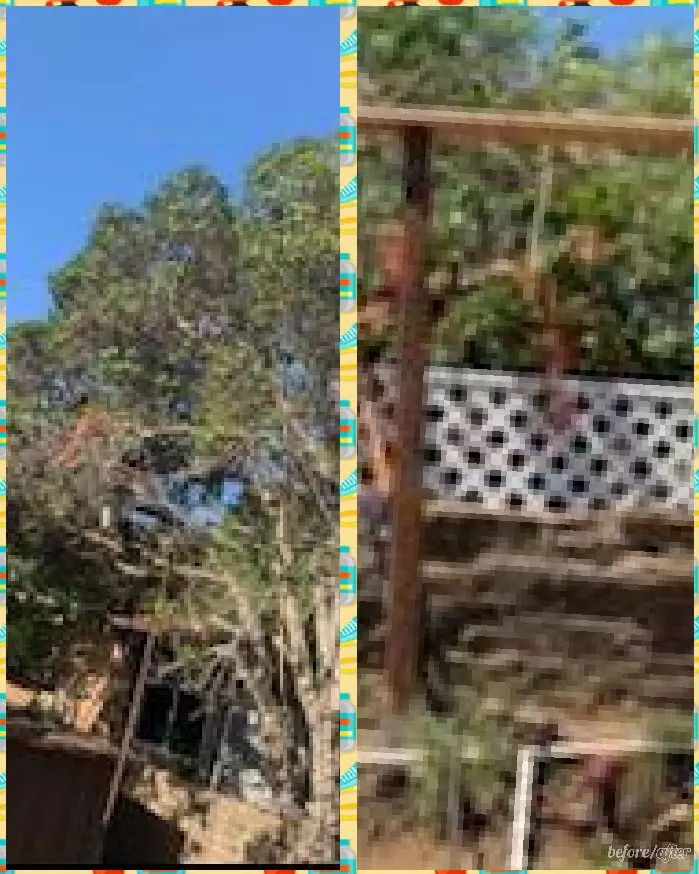 Expert yard maintenance in Encinitas, CA by Lucas Landscaping & Tree Services