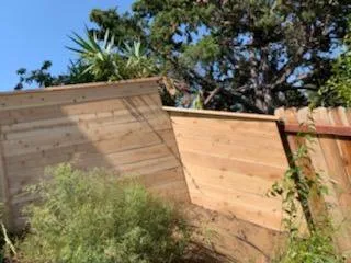 Top-rated yard maintenance for beautiful yards in Encinitas, CA by Lucas Landscaping & Tree Services