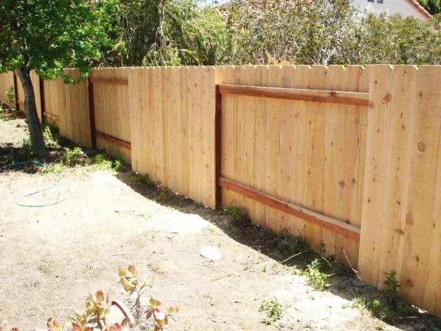 Trusted yard cleanup service in Encinitas, CA by Lucas Landscaping & Tree Services