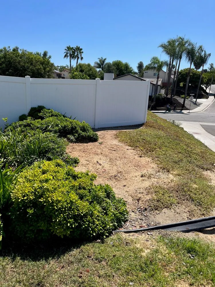 Reliable yard cleanup service experts serving Encinitas, CA - Lucas Landscaping & Tree Services