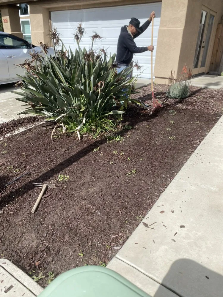 Professional lawn care service experts serving Encinitas, CA - Lucas Landscaping & Tree Services